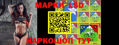 прущие грибы Бердск
