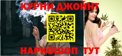 прущие грибы Бердск