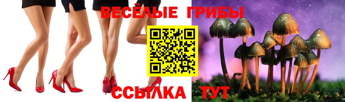 Галлюциногенные грибы Psilocybine cubensis  Вход с VPN  Асбест  Галлюциногенные грибы ЛСД 